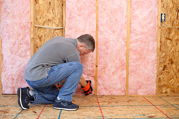 Eco-Friendly or Green Insulation Solutions in Wilkes Barre, PA